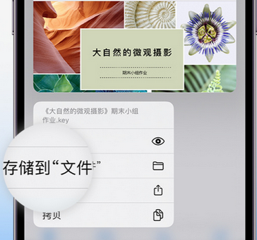 振安apple维修中心分享iPhone文件应用中存储和找到下载文件
