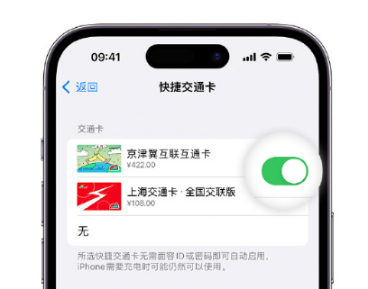 振安apple维修点分享iPhone上更换Apple Pay快捷交通卡手绘卡面 