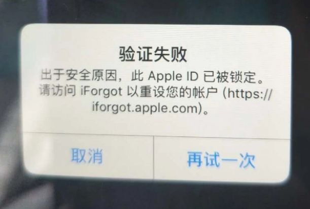 振安iPhone维修分享iPhone上正常登录或使用AppleID怎么办 