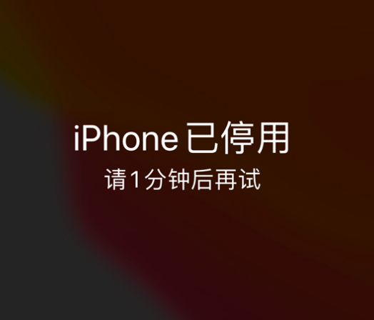 振安苹果手机维修分享:iPhone 显示“不可用”或“已停用”怎么办？还能保留数据吗？ 