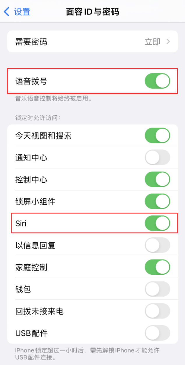 振安苹果维修网点分享不解锁 iPhone 的情况下通过 Siri 拨打电话的方法 