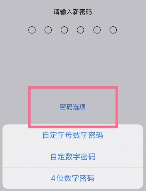 振安苹果14维修分享iPhone 14plus设置密码的方法 