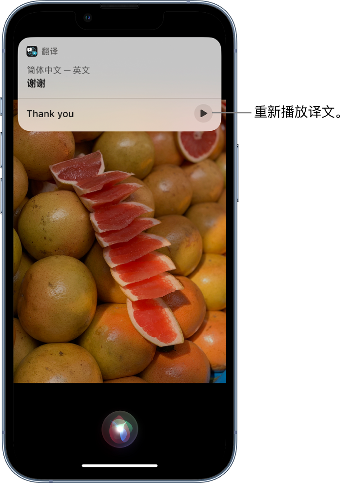 振安苹果14维修分享 iPhone 14 机型中使用 Siri：了解 Siri 能帮你做什么 