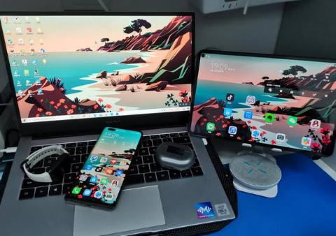 振安苹果手机维修分享为什么iPad屏幕更大价格却比iPhone低 