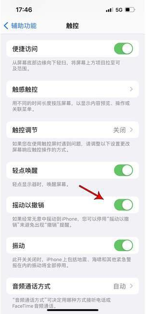 振安苹果手机维修分享iPhone手机如何设置摇一摇删除文字 